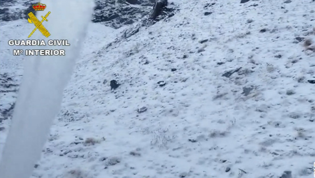 La Guardia Civil y los Bomberos de Cádiar rescatan a dos personas en el Barranco Peñón del Muerto de la localidad de Bérchules
